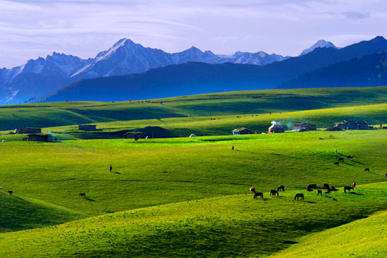 提醒春节期间赴印度旅游中国公民注意安全